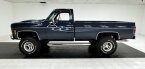 Thumbnail Photo 1 for 1979 Chevrolet C/K Truck