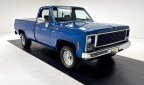 Thumbnail Photo 6 for 1979 Chevrolet C/K Truck