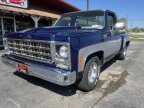 Thumbnail Photo 4 for 1979 Chevrolet C/K Truck