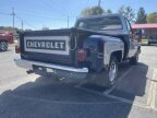 Thumbnail Photo 1 for 1979 Chevrolet C/K Truck