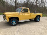 1979 Chevrolet C/K Truck