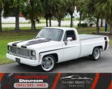 1979 Chevrolet C/K Truck