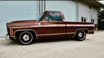 1979 Chevrolet C/K Truck