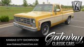 1979 Chevrolet C/K Truck Scottsdale
