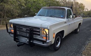 1979 Chevrolet C/K Truck