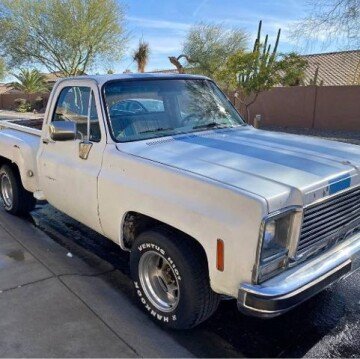 1979 Chevrolet C/K Truck