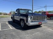 1979 Chevrolet C/K Truck