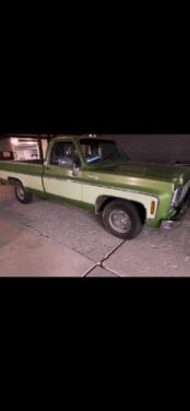 1979 Chevrolet C/K Truck