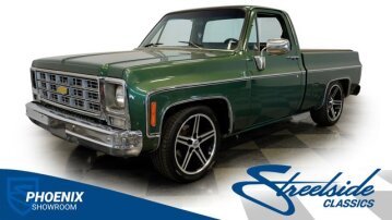 1979 Chevrolet C/K Truck