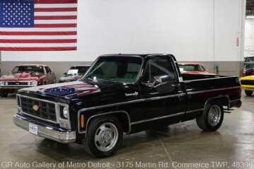 1979 Chevrolet C/K Truck