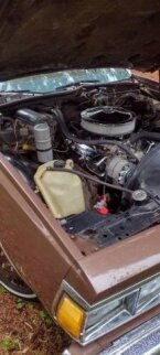 Thumbnail Photo 2 for 1979 Chevrolet Caprice