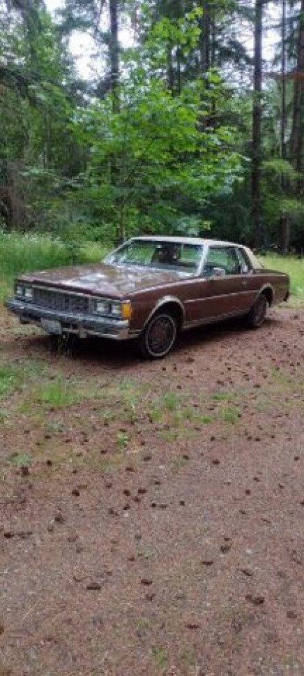 Photo 1 for 1979 Chevrolet Caprice