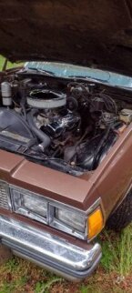 Thumbnail Photo 1 for 1979 Chevrolet Caprice