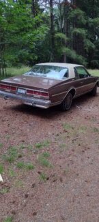 Thumbnail Photo 5 for 1979 Chevrolet Caprice