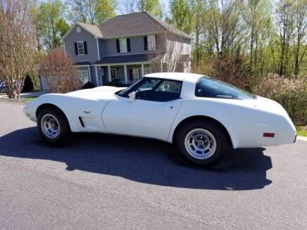 Photo 1 for 1979 Chevrolet Corvette