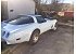 1979 Chevrolet Corvette
