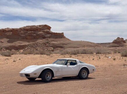 Photo 1 for 1979 Chevrolet Corvette