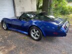 Thumbnail Photo 1 for 1979 Chevrolet Corvette