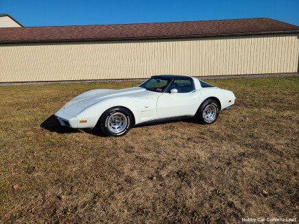 Photo 1 for 1979 Chevrolet Corvette