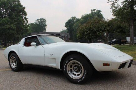 Photo 1 for 1979 Chevrolet Corvette Stingray