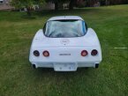 Thumbnail Photo 5 for 1979 Chevrolet Corvette