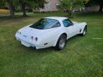 Thumbnail Photo 4 for 1979 Chevrolet Corvette