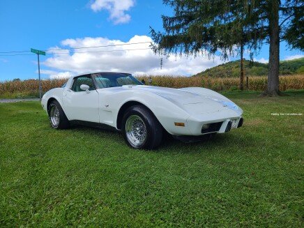 Photo 1 for 1979 Chevrolet Corvette
