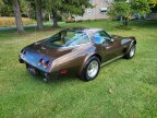 Thumbnail Photo 6 for 1979 Chevrolet Corvette