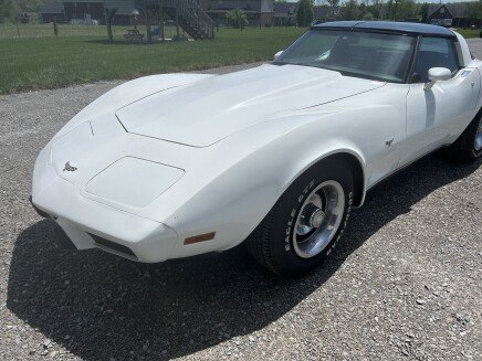Photo 1 for 1979 Chevrolet Corvette Coupe for Sale by Owner