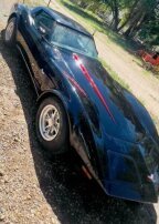 Thumbnail Photo 5 for 1979 Chevrolet Corvette