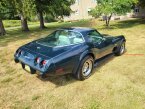 Thumbnail Photo 3 for 1979 Chevrolet Corvette