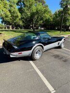 Thumbnail Photo 4 for 1979 Chevrolet Corvette Stingray for Sale by Owner