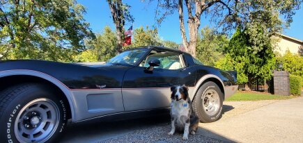 Photo 1 for 1979 Chevrolet Corvette Stingray for Sale by Owner
