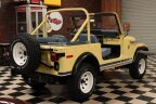 Thumbnail Photo 6 for 1979 Chevrolet Corvette Convertible