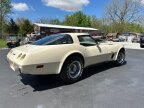 Thumbnail Photo 1 for 1979 Chevrolet Corvette