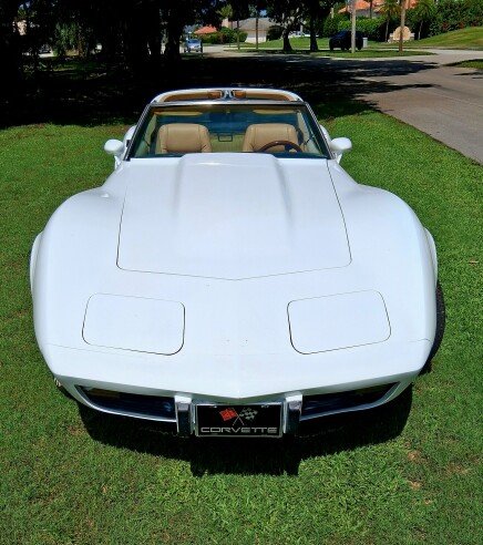 Photo 1 for 1979 Chevrolet Corvette for Sale by Owner