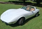 Thumbnail Photo 1 for 1979 Chevrolet Corvette for Sale by Owner
