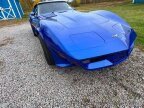 Thumbnail Photo 3 for 1979 Chevrolet Corvette