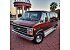 1979 Chevrolet G20
