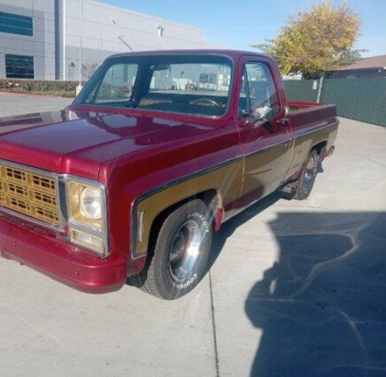 Photo 1 for 1979 Chevrolet Other Chevrolet Models