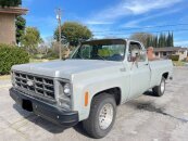 1979 Chevrolet Other Chevrolet Models