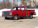 Thumbnail Photo 3 for 1979 Dodge D/W Truck