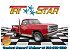 1979 Dodge D/W Truck