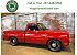 1979 Dodge D/W Truck