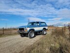 Thumbnail Photo 3 for 1979 Ford Bronco XLT for Sale by Owner