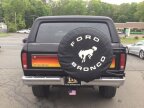 Thumbnail Photo 5 for 1979 Ford Bronco
