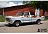 1979 Ford F100