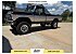 1979 Ford F150