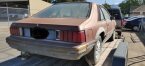 Thumbnail Photo 1 for 1979 Ford Mustang