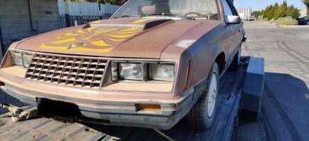 Photo 1 for 1979 Ford Mustang